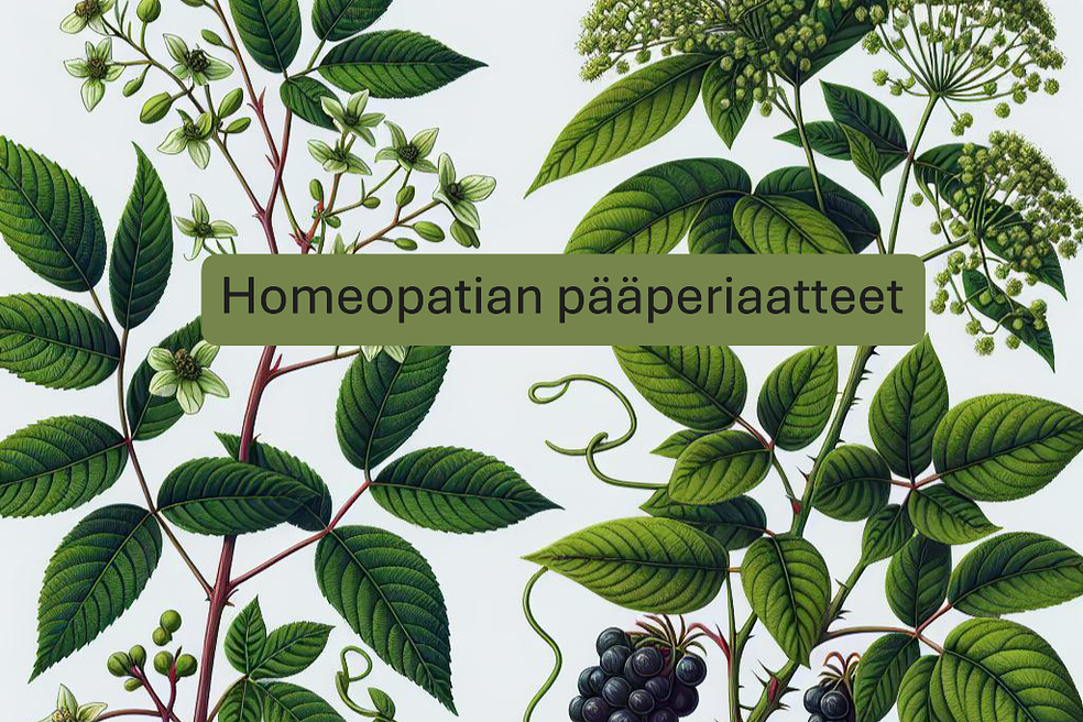 Homeopatian filosofia ja pääperiaatteet by TAIMI koulutus Oy